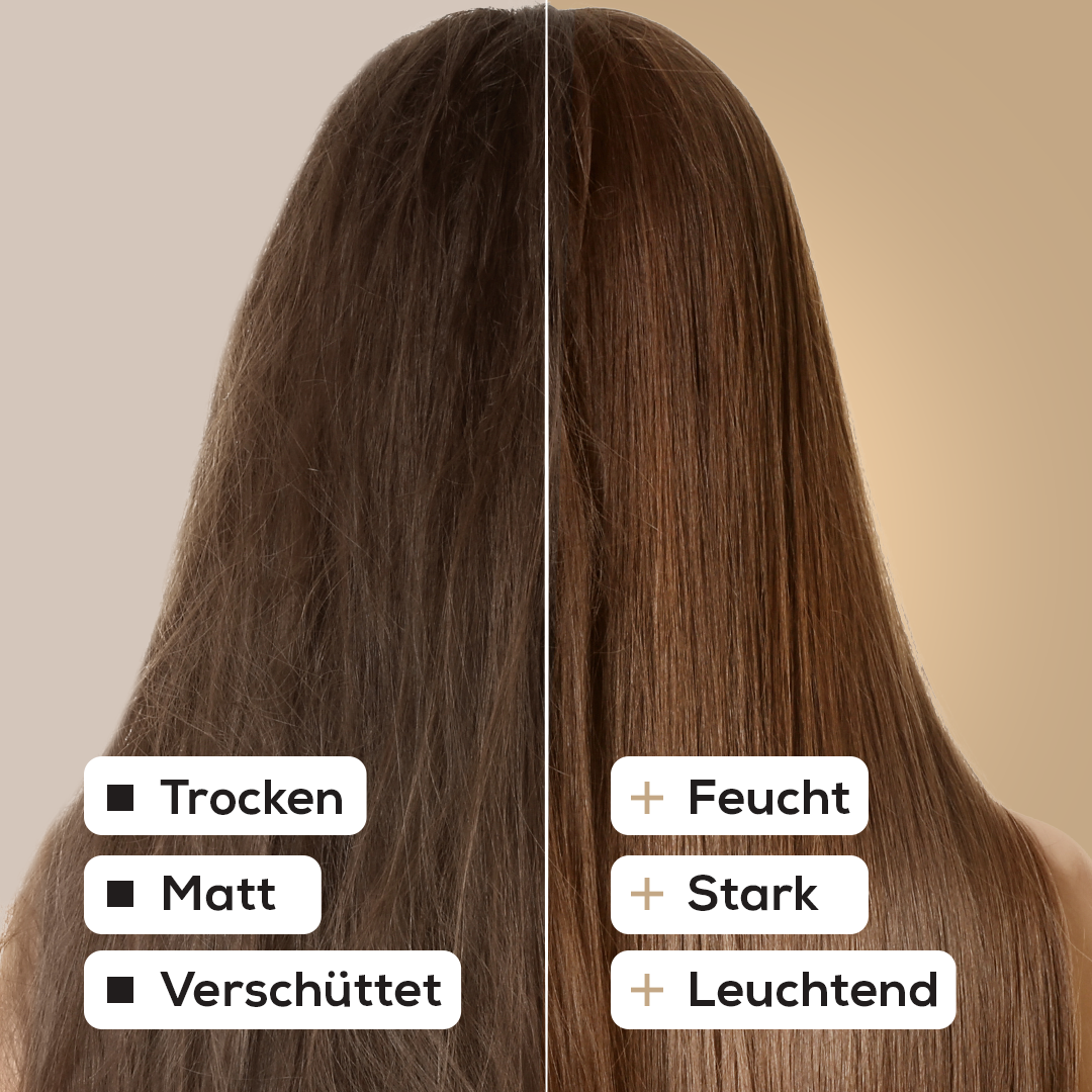 Festes Shampoo Rhassoul & Salbei 100 g – mit natürlichem Kürbis-Luffa