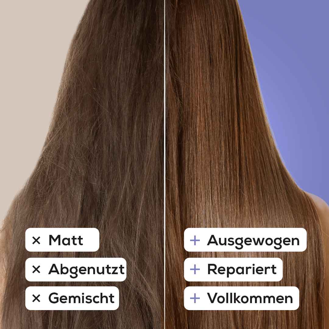 Festes Shampoo Argan & Lavendel 100 g – mit natürlichem Kürbis-Luffa